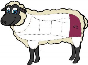 ران گوسفندی بره