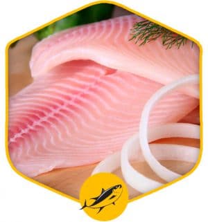 خرید اینترنتی و آنلاین محصول ماهی تیلاپیا منجمد در تهران گوشت ماهی یخزده از فروشگاه انلاین دارا پروتئین