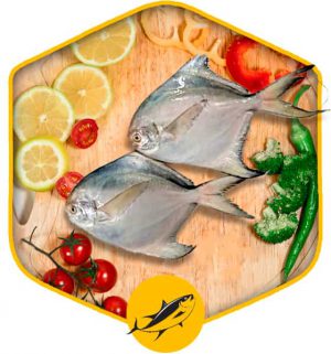 خرید اینترنتی و انلاین ماهی حلوا سفید درسته در تهران ماهی زبیده کامل تازه از فروشگاه آنلاین دارا پروتئین