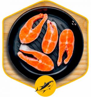خرید اینترنتی و انلاین گوشت استیک ماهی سالمون نروژی به صورت حلقه ای در تران از فروشگاه انلاین دارا پروتئین