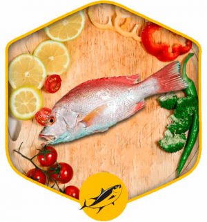 خرید آنلاین ماهی سرخو درسته در تهران گروشت ماهی تازه و کامل و محصولات دریایی از فروشگاه انلاین و اینترنتی دارا پروتئین