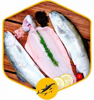 خرید اینترنتی و انلاین ماهی قزل آلا پاک شده در تهران گوشت ماهی تازه از فروشگاه آنلاین دارا پرووتئین