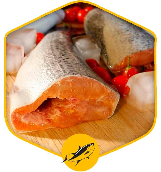 خرید آنلاین و اینترنتی گوشت فیله ماهی قزل آلا سالمونی از فروشگاه آنلاین دارافود در تهزان