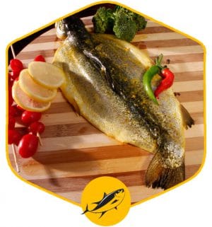 خرید آنلاین ماهی قزل آلا پرورشی کبابی گوشت کباب ماهی در تران از فروشگاه اینترنتی دارا پروتئین
