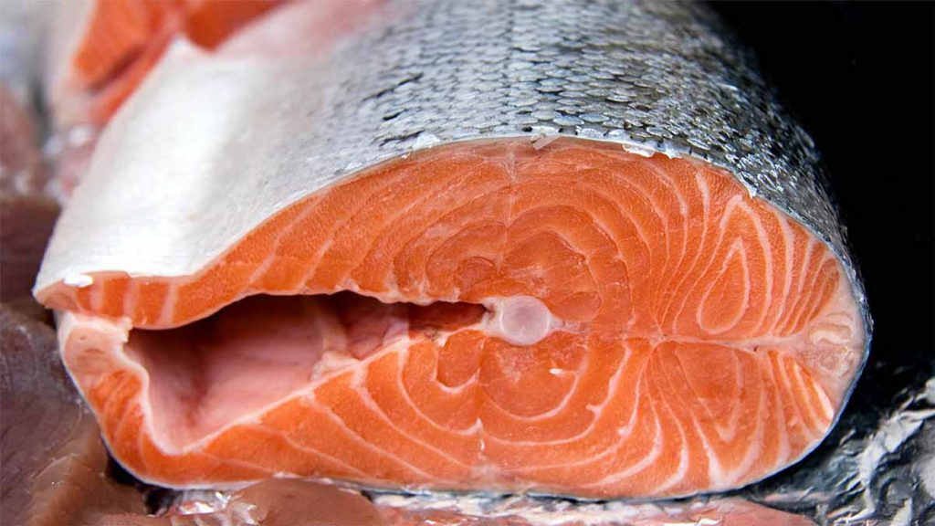 خواص گوشت ماهی سالمون دریایی و سالمون پرورشی و توضیحاتی درباره آن