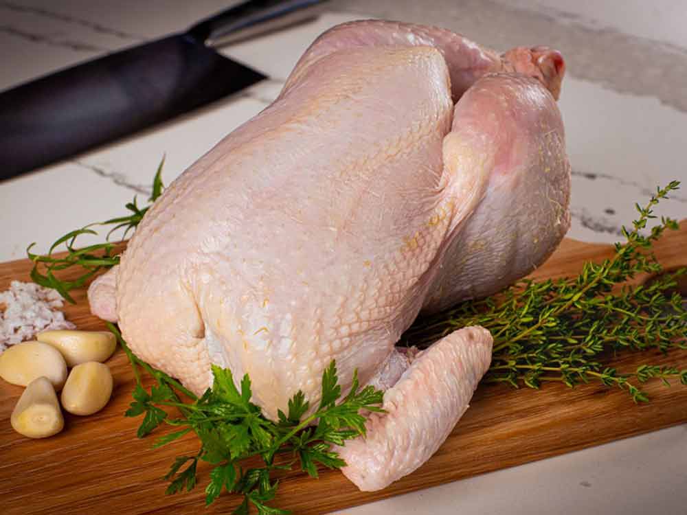 مرغ سبز چیست تفاوت قیمت مرغ سبز و ساده آن و تفاوت مرغ بدون انتی بیوتیک با ارگانیک